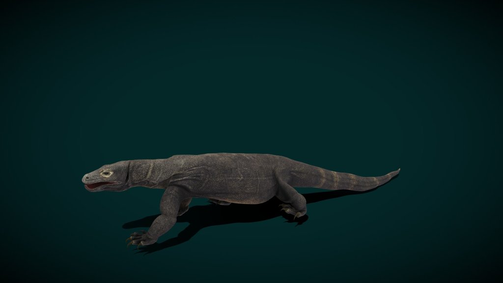 Komodo Dragon Lizard