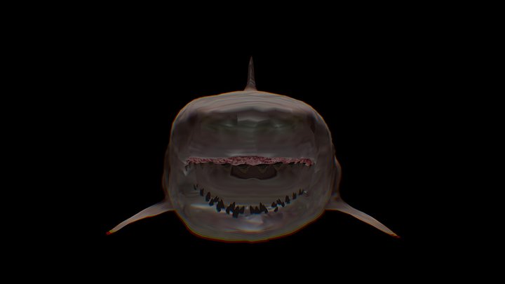 Megalodon shark 3D Model