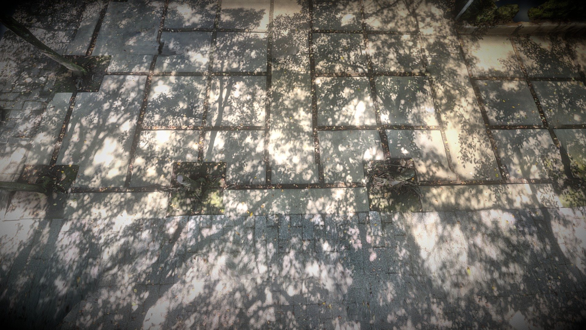 Under the cherry tree