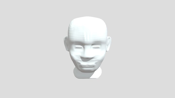 Head 3D Model