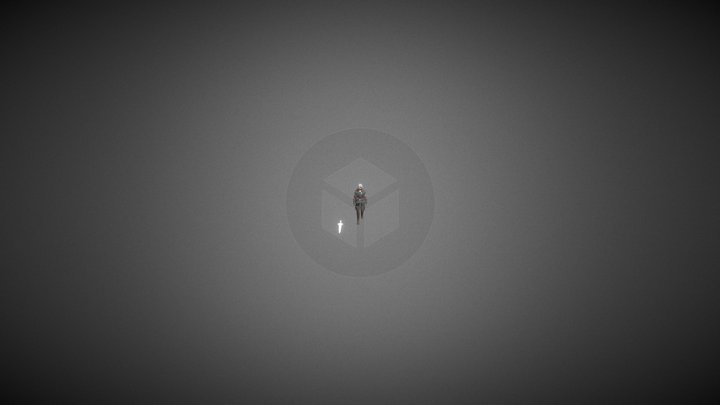 Cycles:Idle and Walking 3D Model