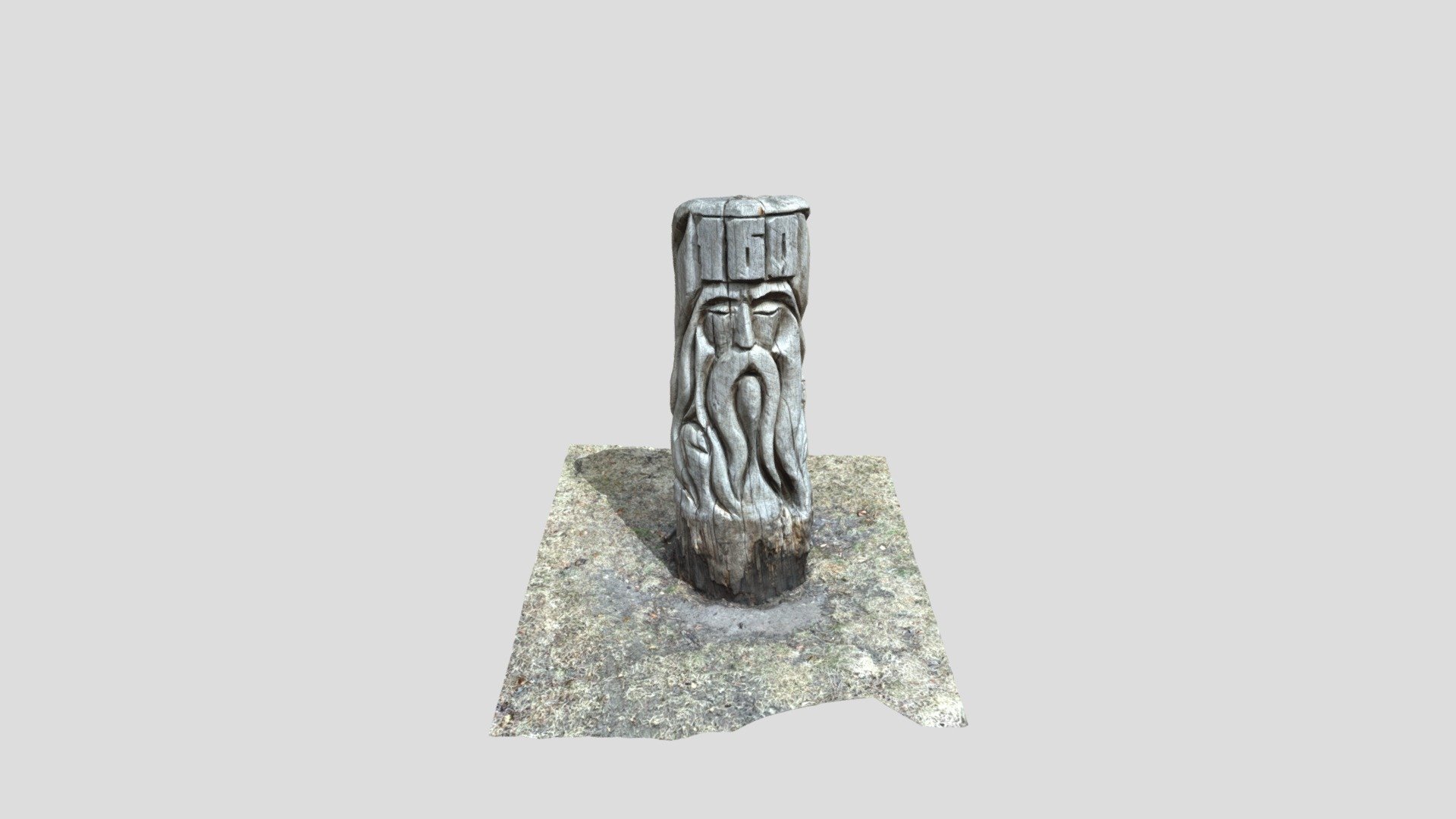 Carved Tree Stump