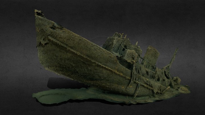 Underwater-photogrammetry 3D models - Sketchfab