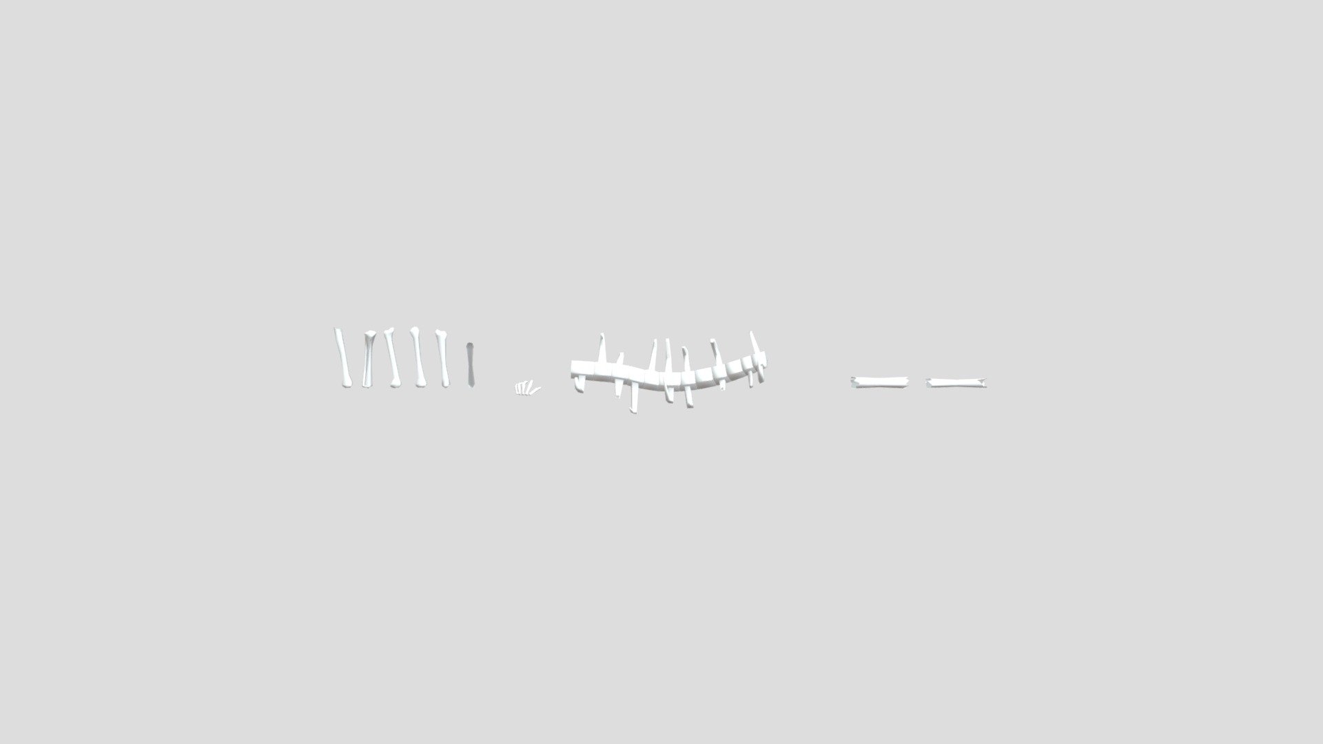 Bones Unwrapped