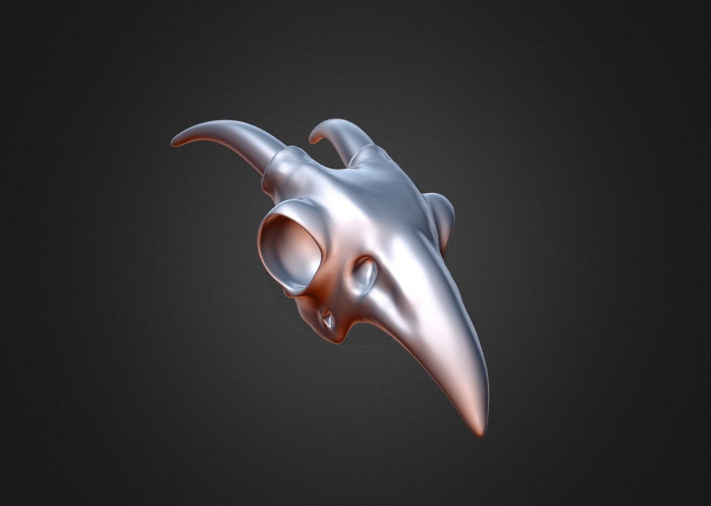 Scavenger Bird Skull Concept 1