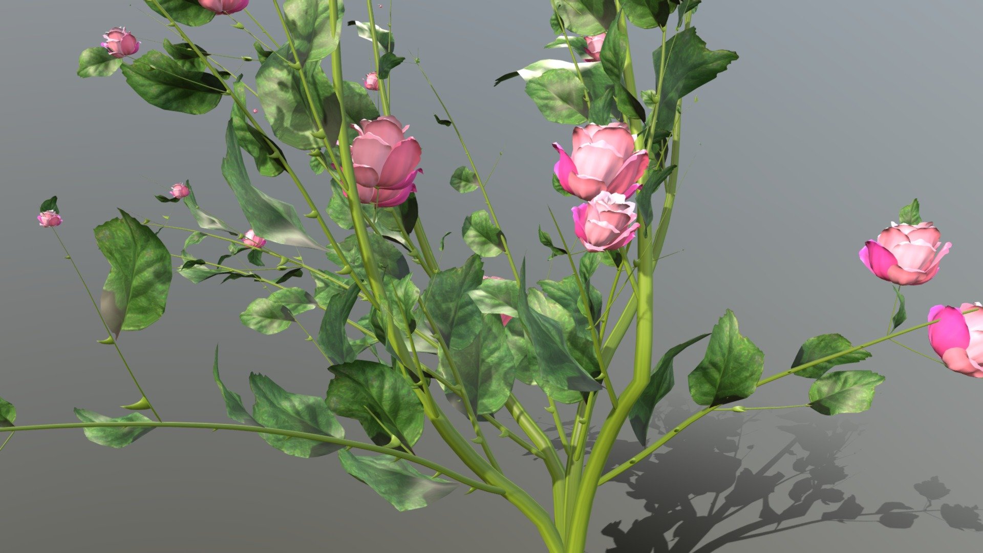 Rose Bush - Detailed - Download Free 3D model by ramakarl [f4d81ec ...