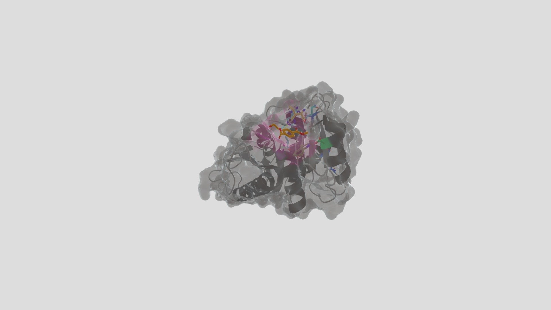 PETase - 3D model by sophiape [f4db785] - Sketchfab