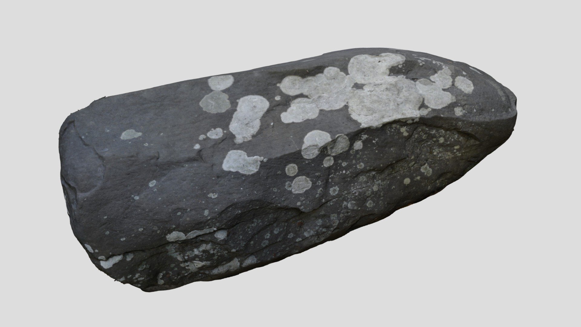 190924_bear_mountain_pop_white_lichen