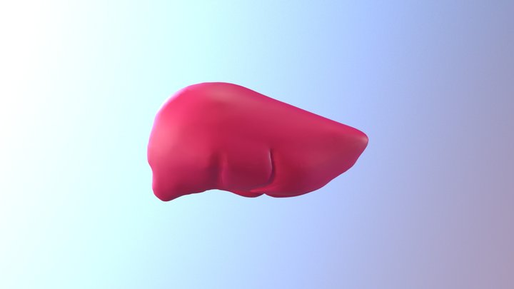 Liver [High Poly - Sculpt] 3D Model