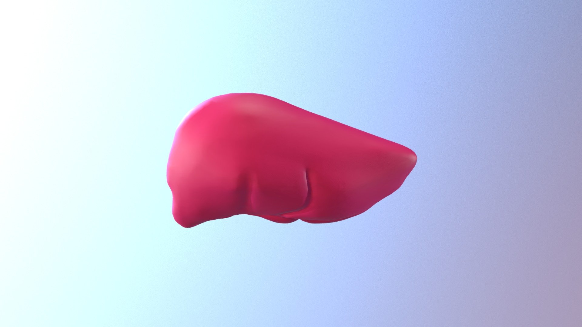 Liver [High Poly - Sculpt]