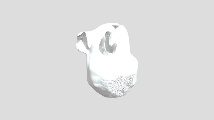 My model 3D Model