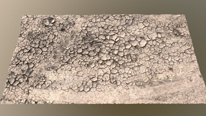Drought dry soil desert cracks ground erosion II 3D Model