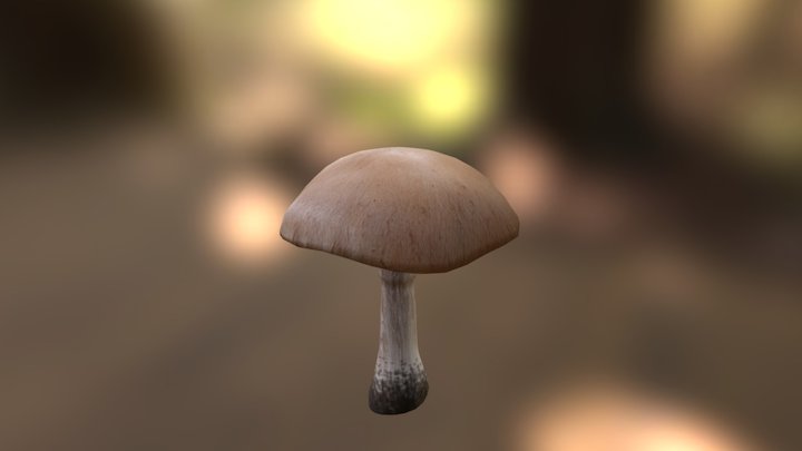 Mushroom Round 3D Model