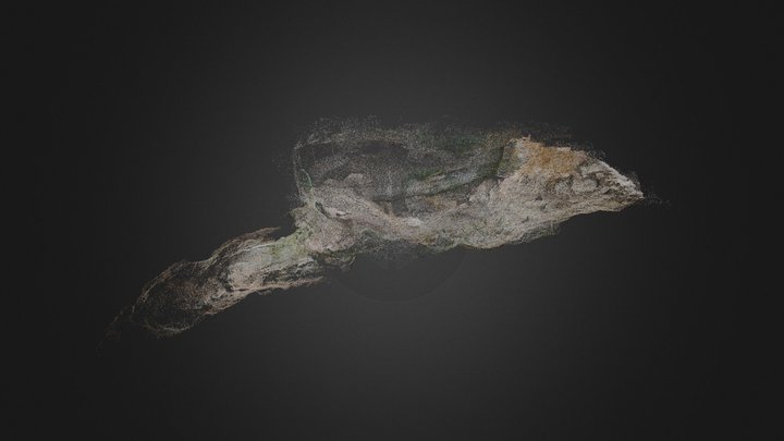 Les Pradelles dense cloud 2013 3D Model