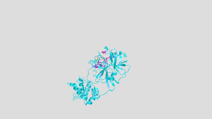 SARS-CoV M-Pro in Complex with PF-07321332 3D Model