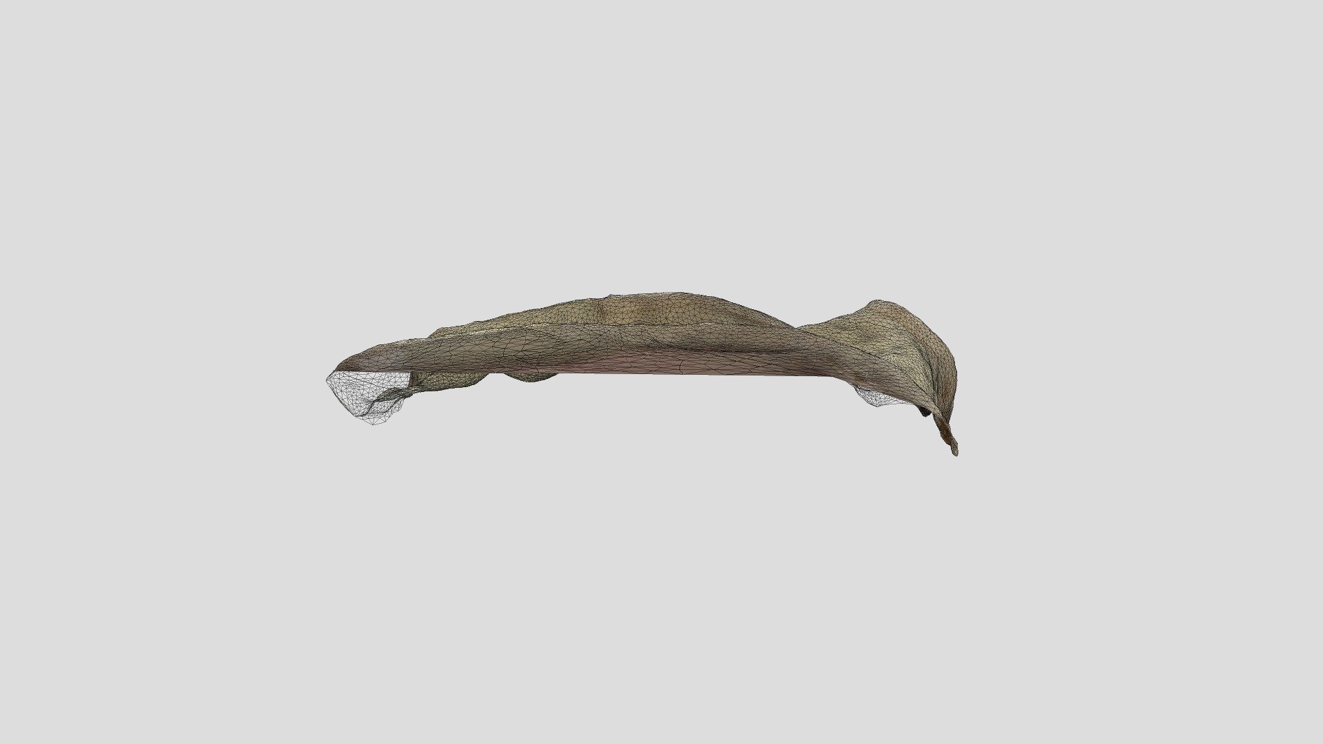Hand 008
