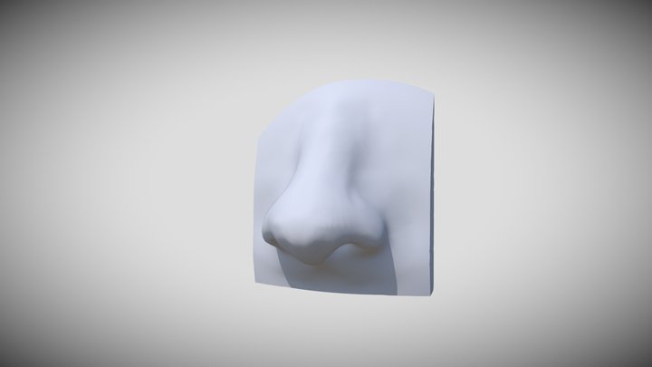 Nose Sculpt #1 3D Model