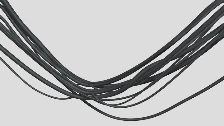 Cables 3D Model