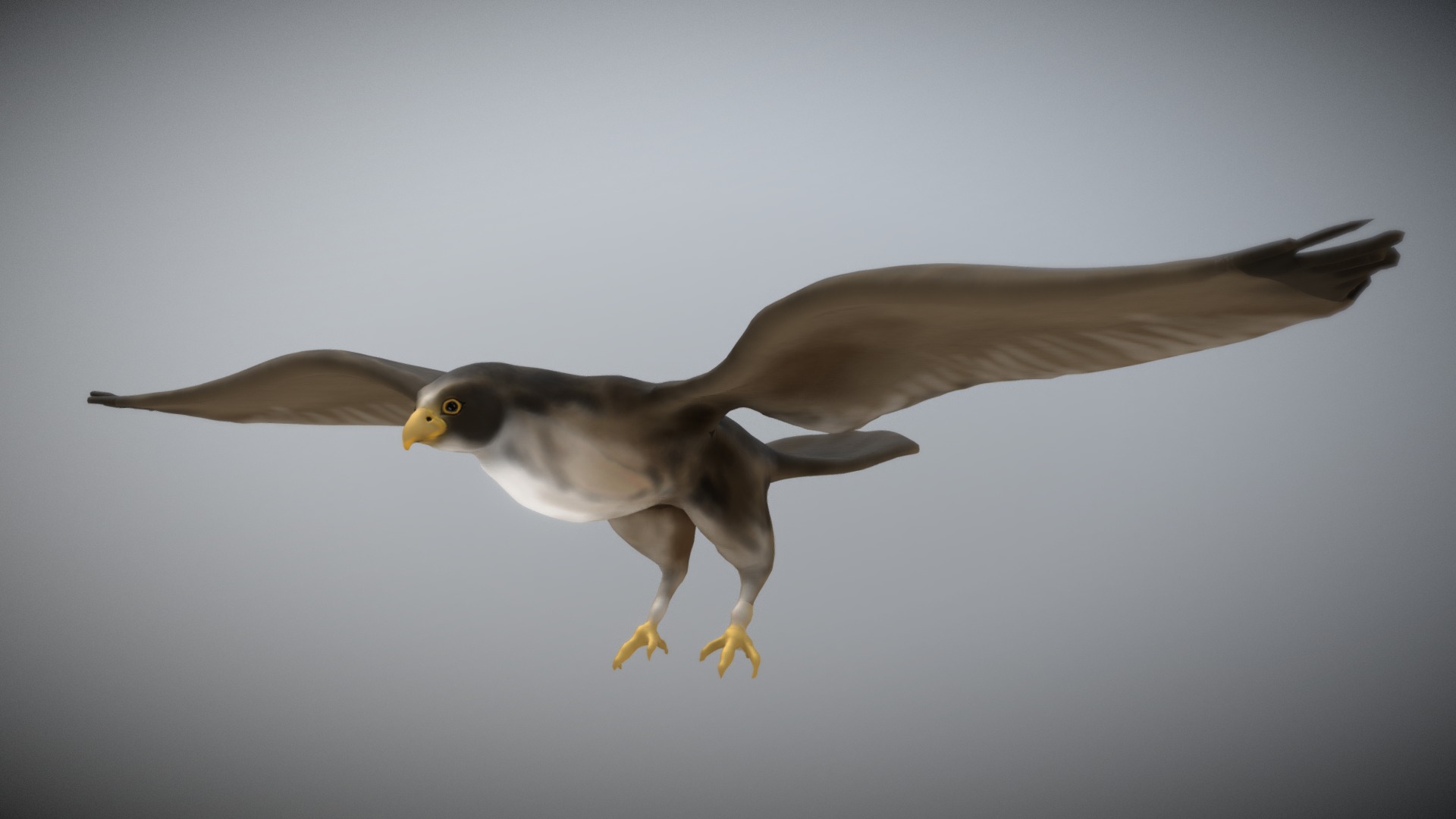 3D model Falcon - This is a 3D model of the Falcon. The 3D model is about a bird flying in the sky.