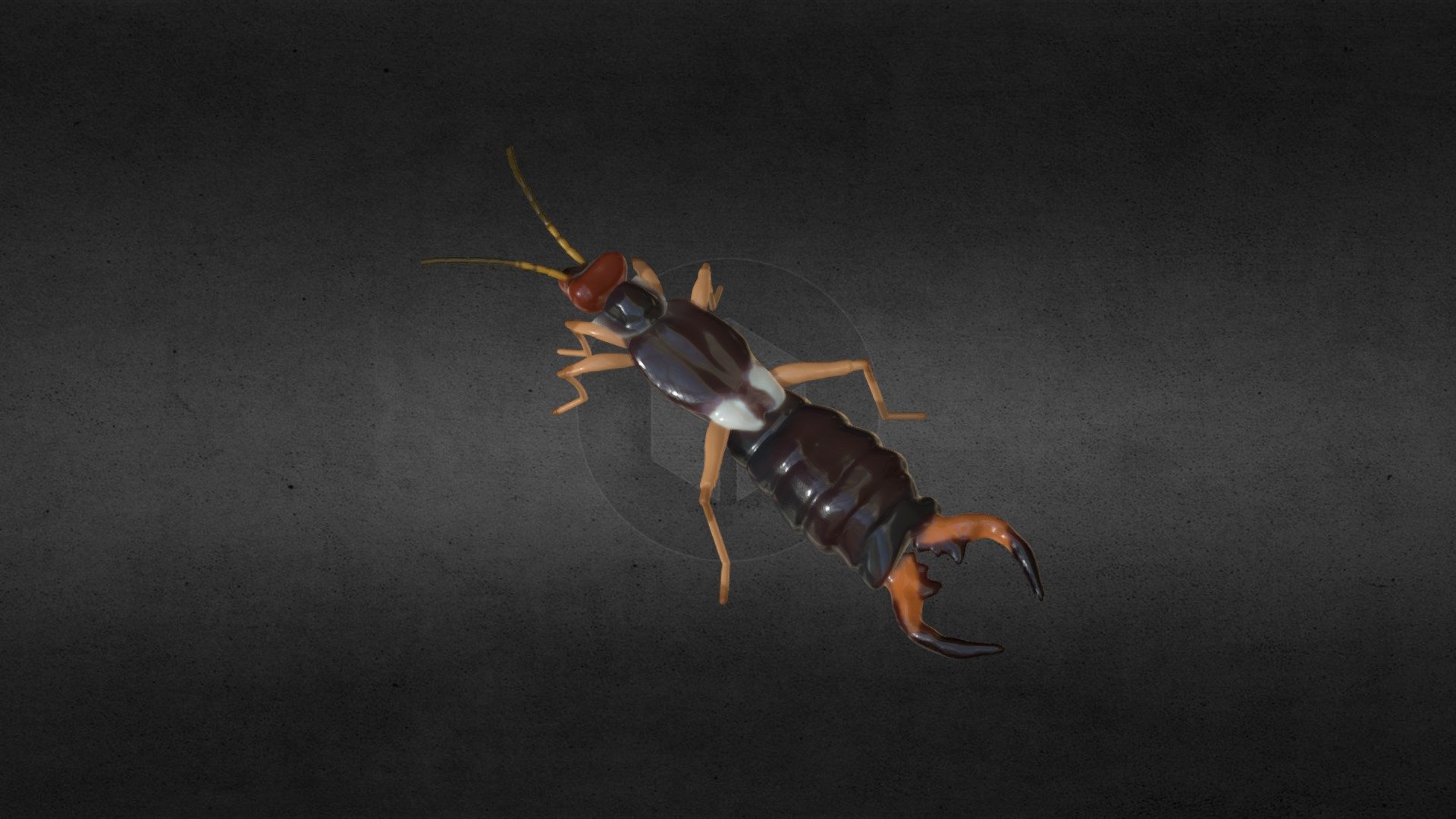 Onironauta VR 2019-04-04 CORTAPICHA 001