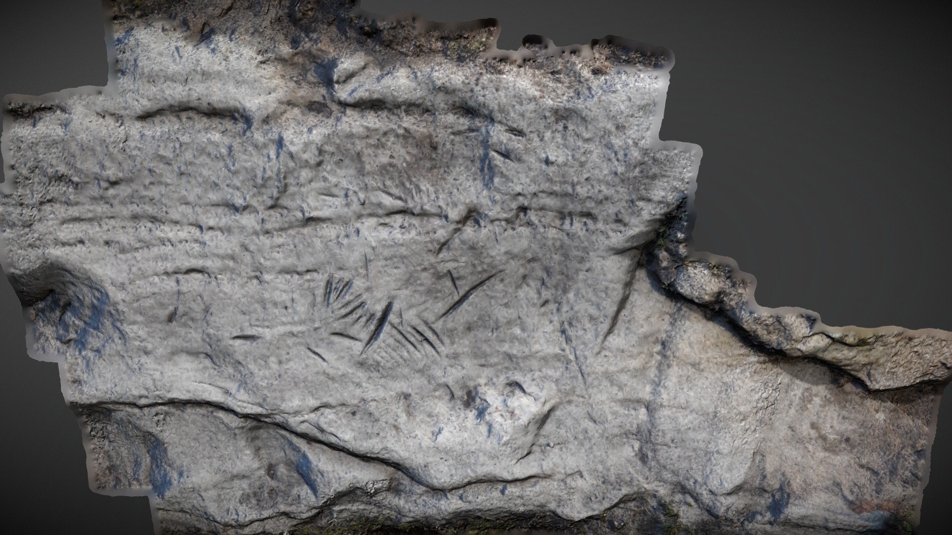 Broughmore Wood 10 / Carved Rock 1