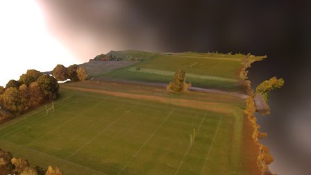 Rugby, Football & Cricket pitches 3D Model