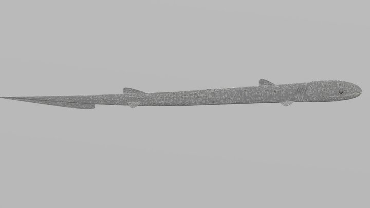 Phoebodus – Gratis 3D-model STL