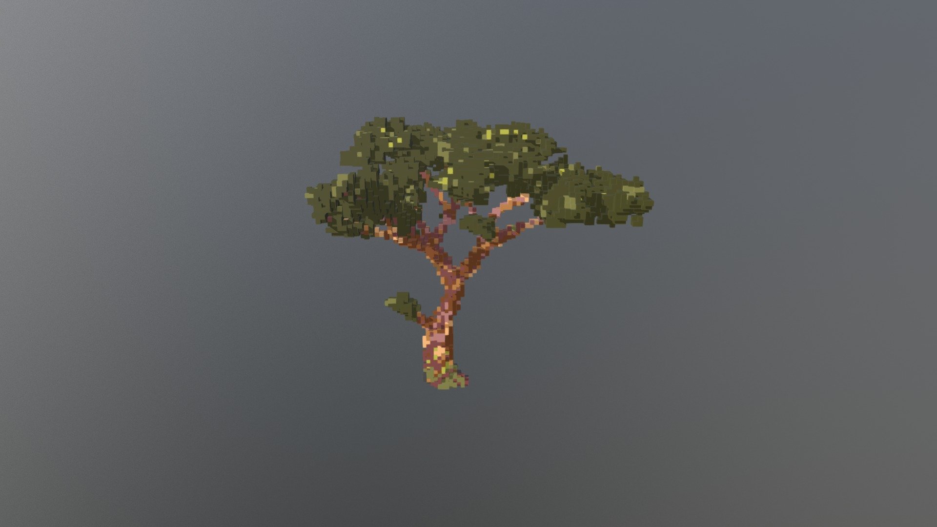 Marula Tree Voxel — Sketchfab embed 3D viewer
