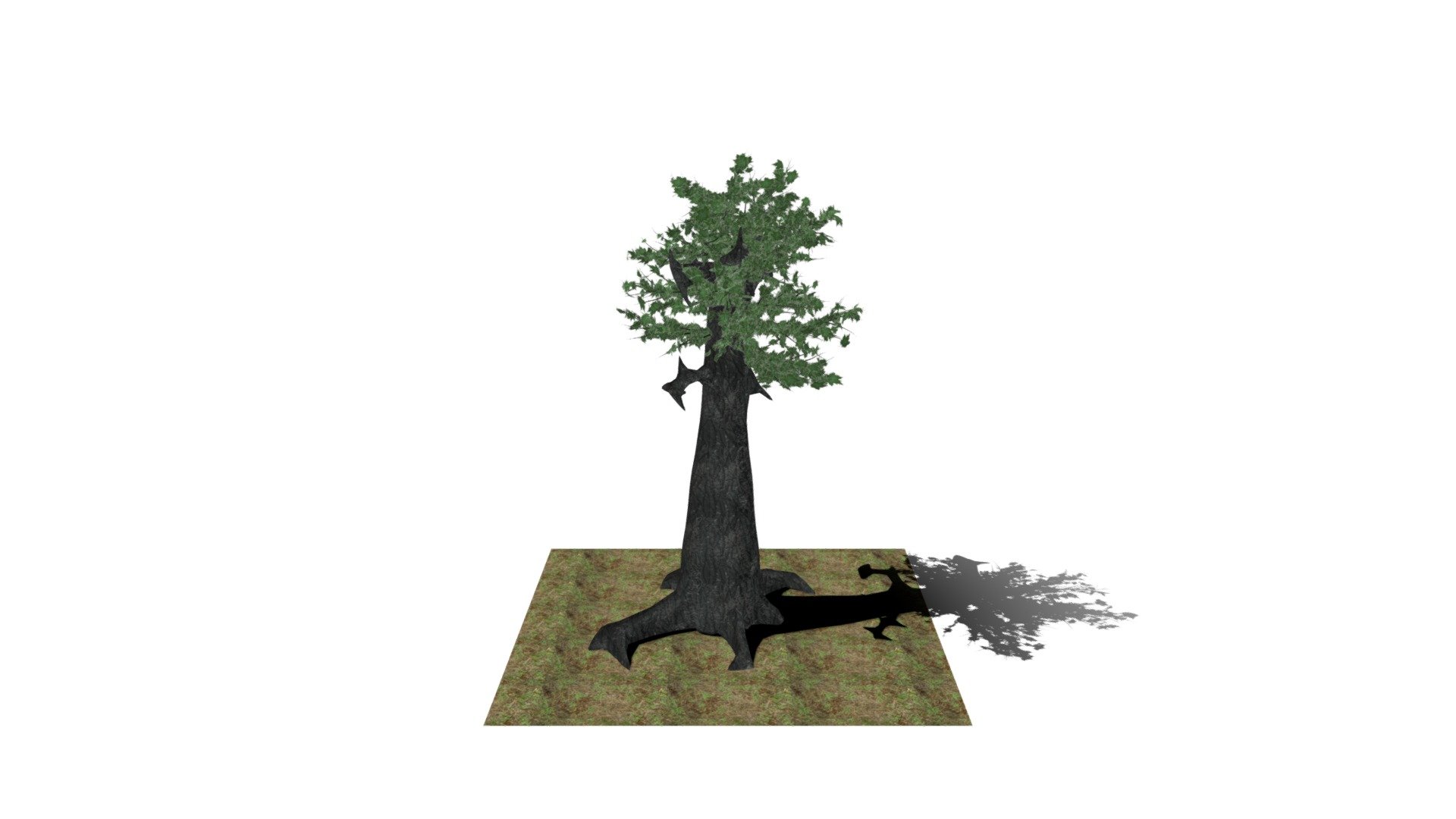 Tree 1