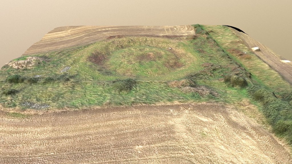 Teanagairn Henge, Culbokie