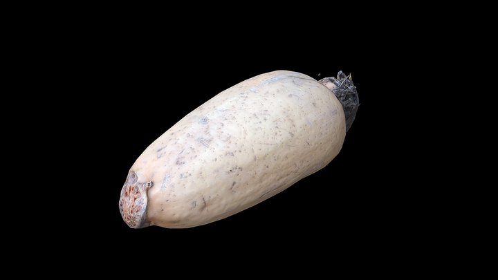 Scan Lotus Root-Freepoly.org – Free 3D Model STL