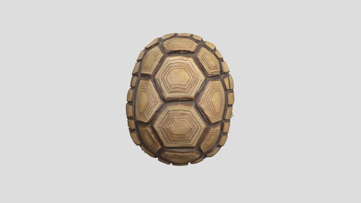 TMNT Turtle Shell Armor Replica 3D Model