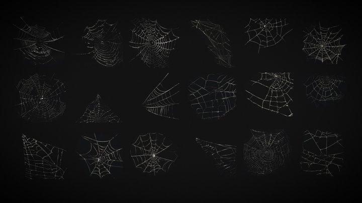 133,332 Spiderweb Images, Stock Photos, 3D objects, & Vectors