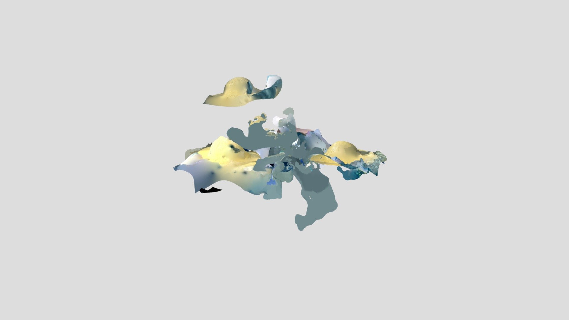 Polycam capture