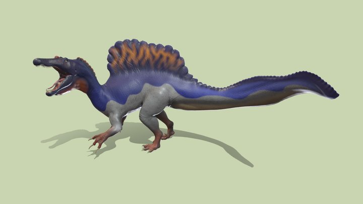Spinosaurus blue-orange 3D Model