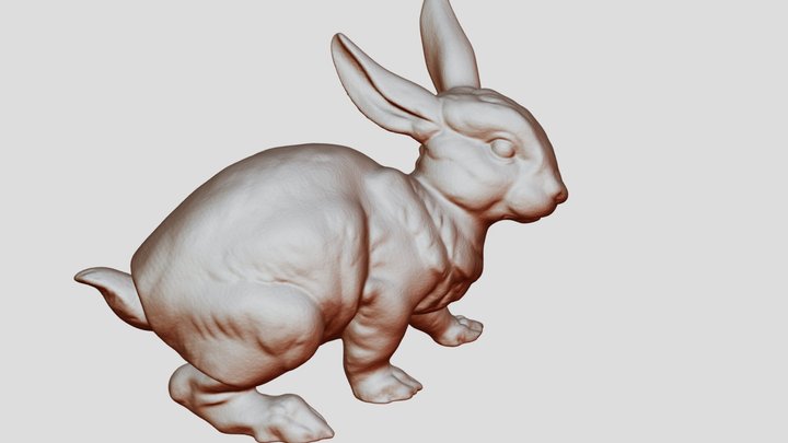 small rabbit 3D Model