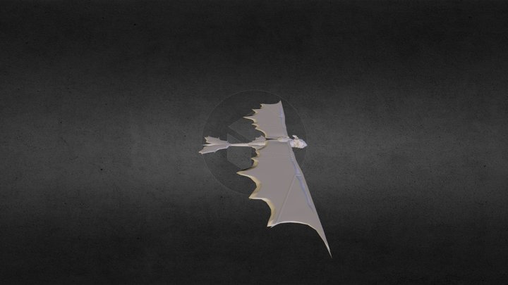 dragon.obj 3D Model
