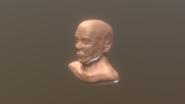 Dr. House 3D Model
