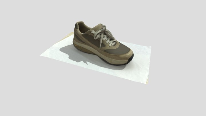Lab 1 Shoe Model 3D Model