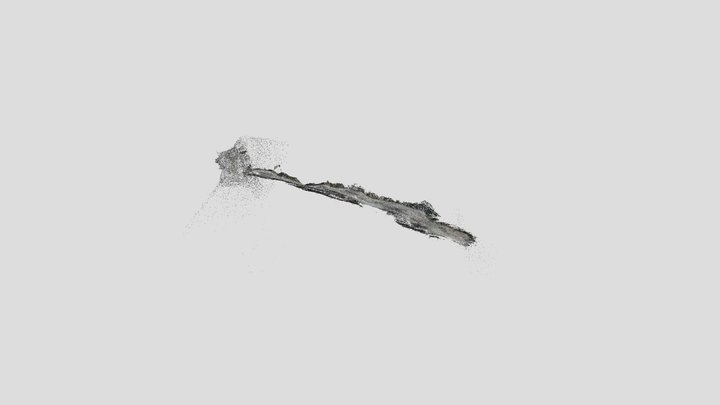 Reventador Lava Flow Point Cloud 3D Model