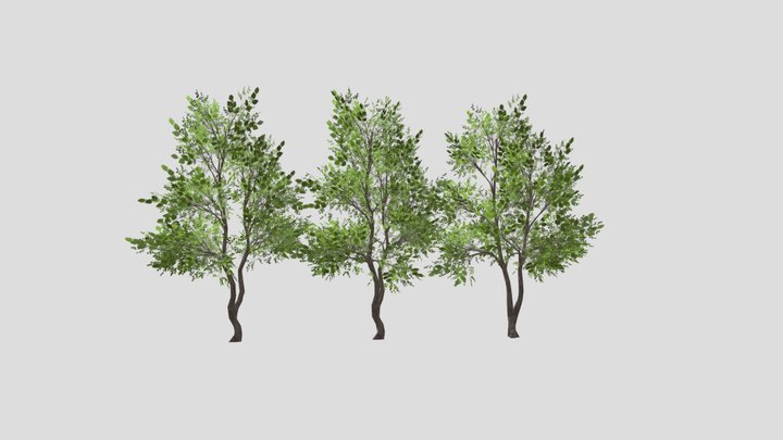 3-xe-f sketchfab 3D Model