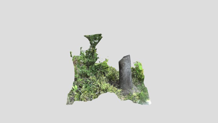 ritsumei_25庭 3D Model