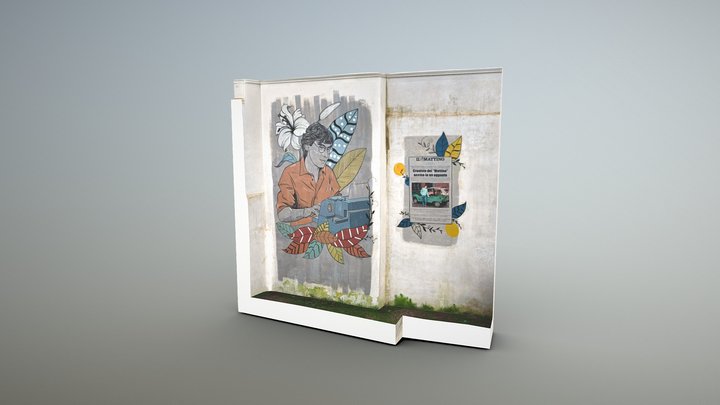 MURALES SIANI 3D Model