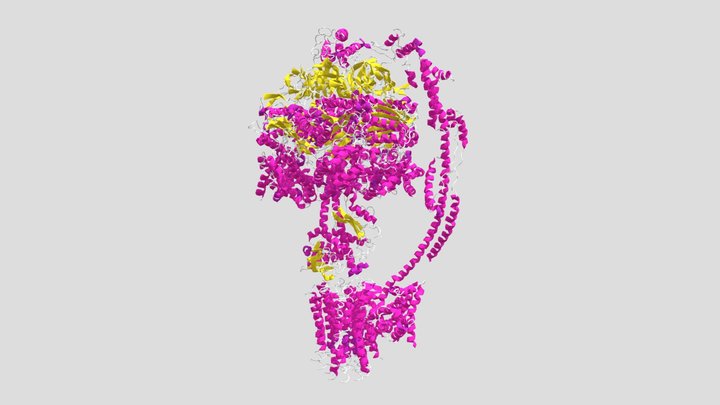 Atp-synthase 3D models - Sketchfab
