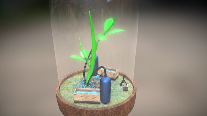 Fanus 3D Model