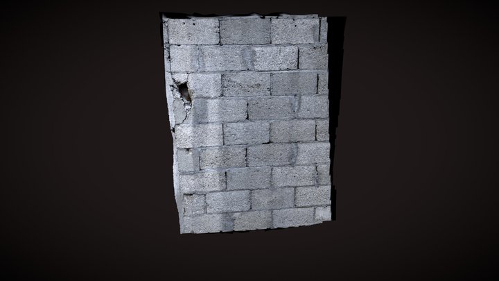 Pared practica 3D Model