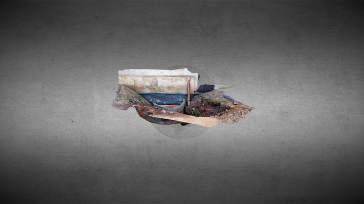 Líšnice 3D Model