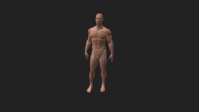 Male Posed 3D Model