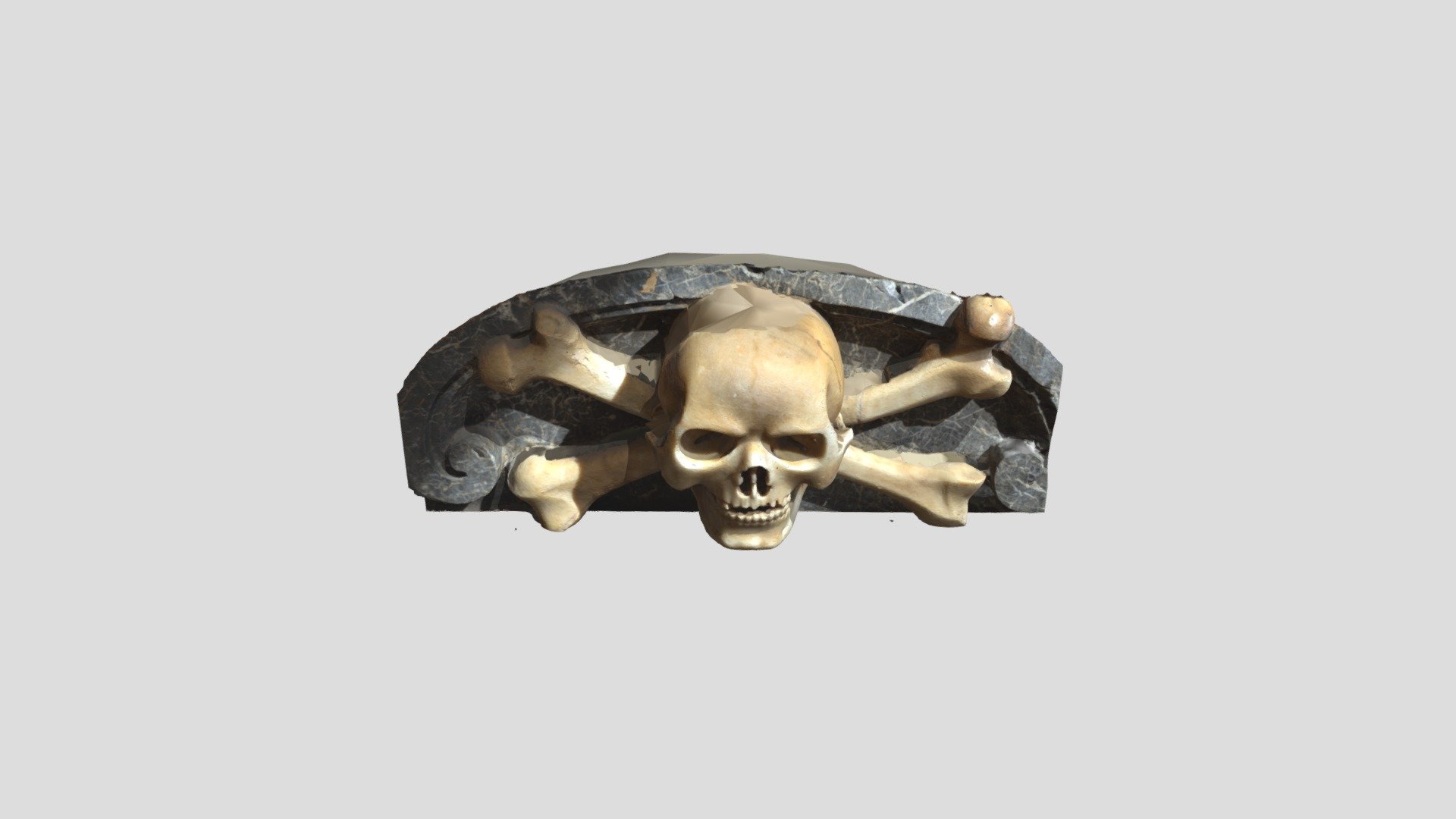 Skull from S.Cecilia in Rome