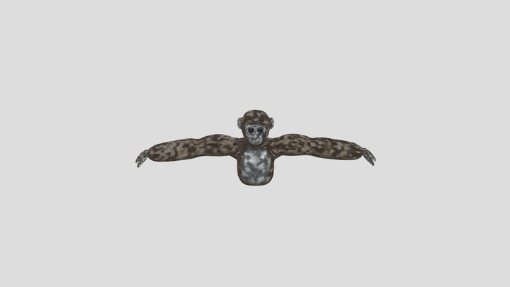 Lethal Ape Redux Player Model 3D Model